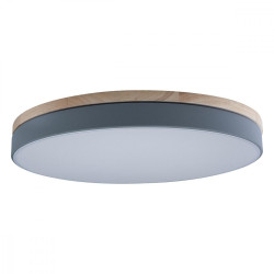 Потолочный светильник светодиодный Axel 10001/36 Grey