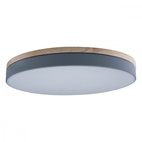 Потолочный светильник светодиодный Axel 10001/36 Grey