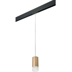 Трековый светильник однофазный 220V Lightstar Rullo PRORP440131