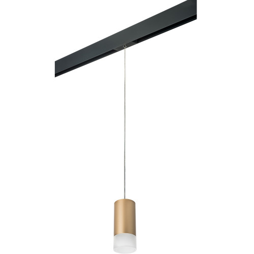 Трековый светильник однофазный 220V Lightstar Rullo PRORP440131