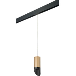 Трековый светильник однофазный 220V Lightstar Rullo PRORP44037