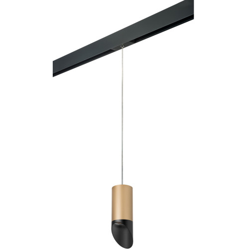 Трековый светильник однофазный 220V Lightstar Rullo PRORP44037