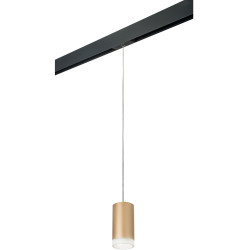 Трековый светильник однофазный 220V Lightstar Rullo PRORP44030